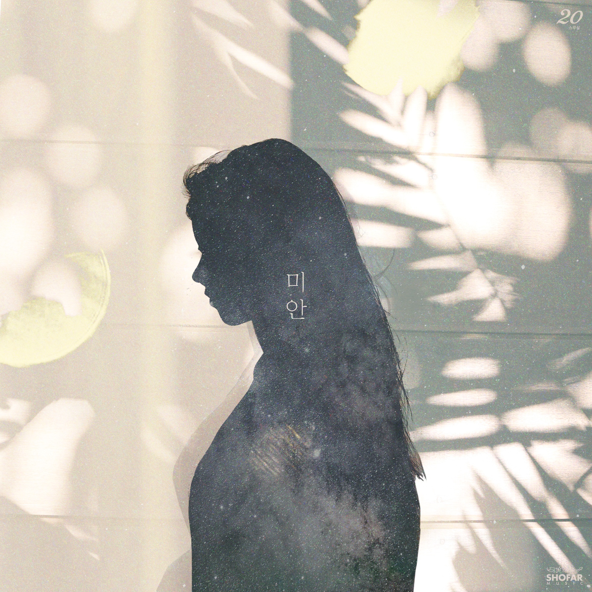 미안