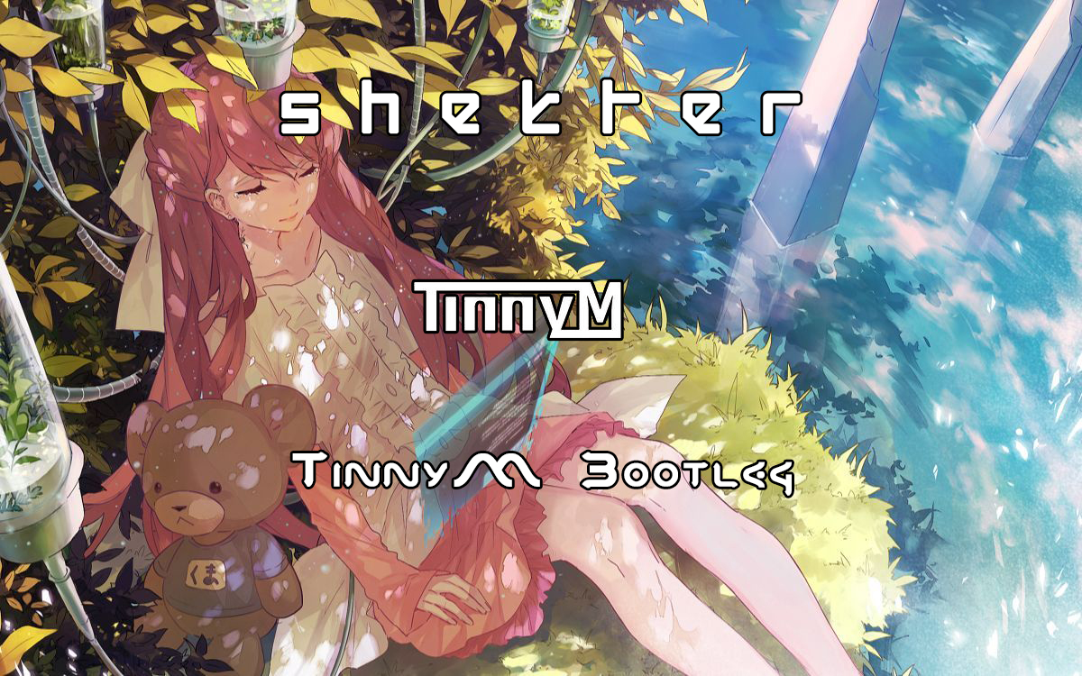 shelter （Tinnym bootleg）