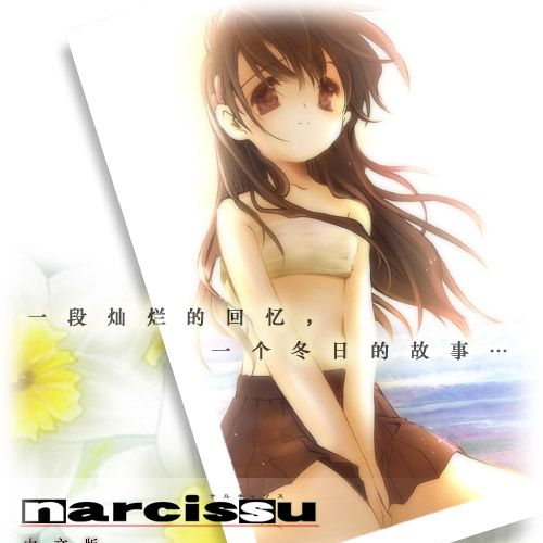Narcissus