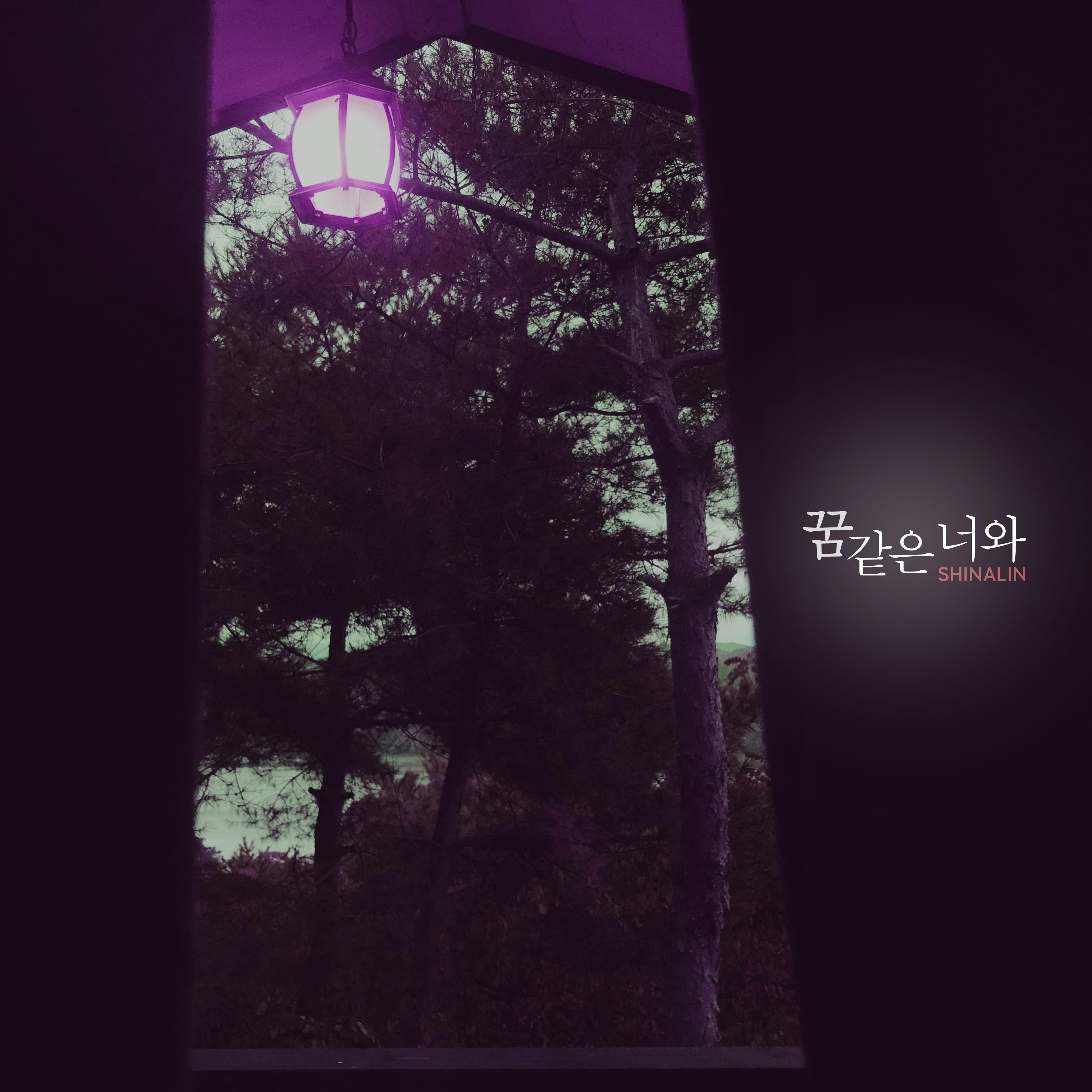 꿈같은 너와