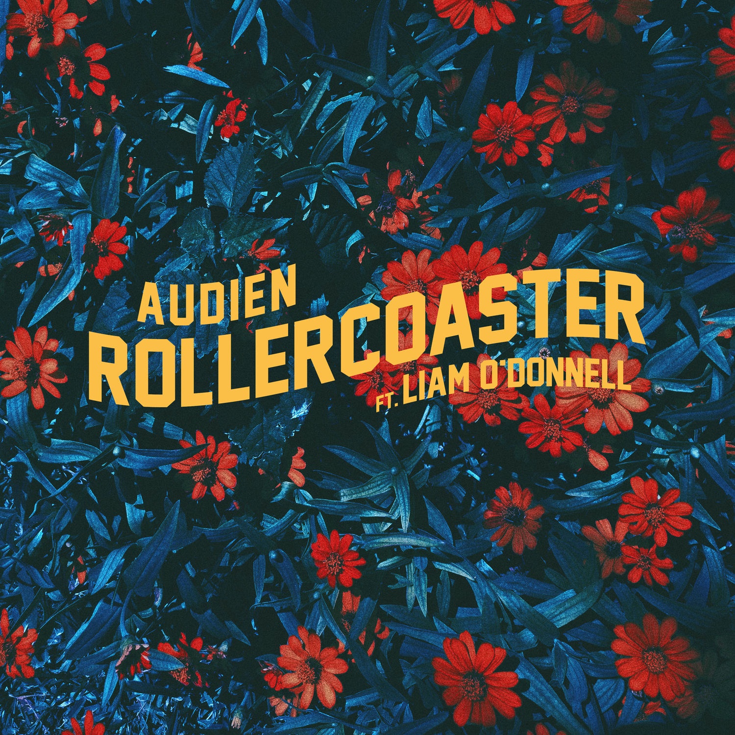 Rollercoaster 