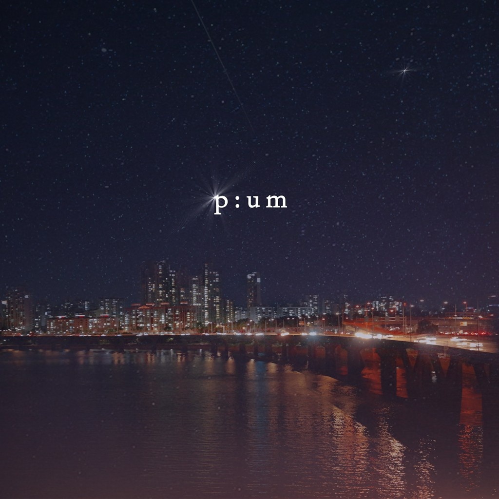 서울의 밤