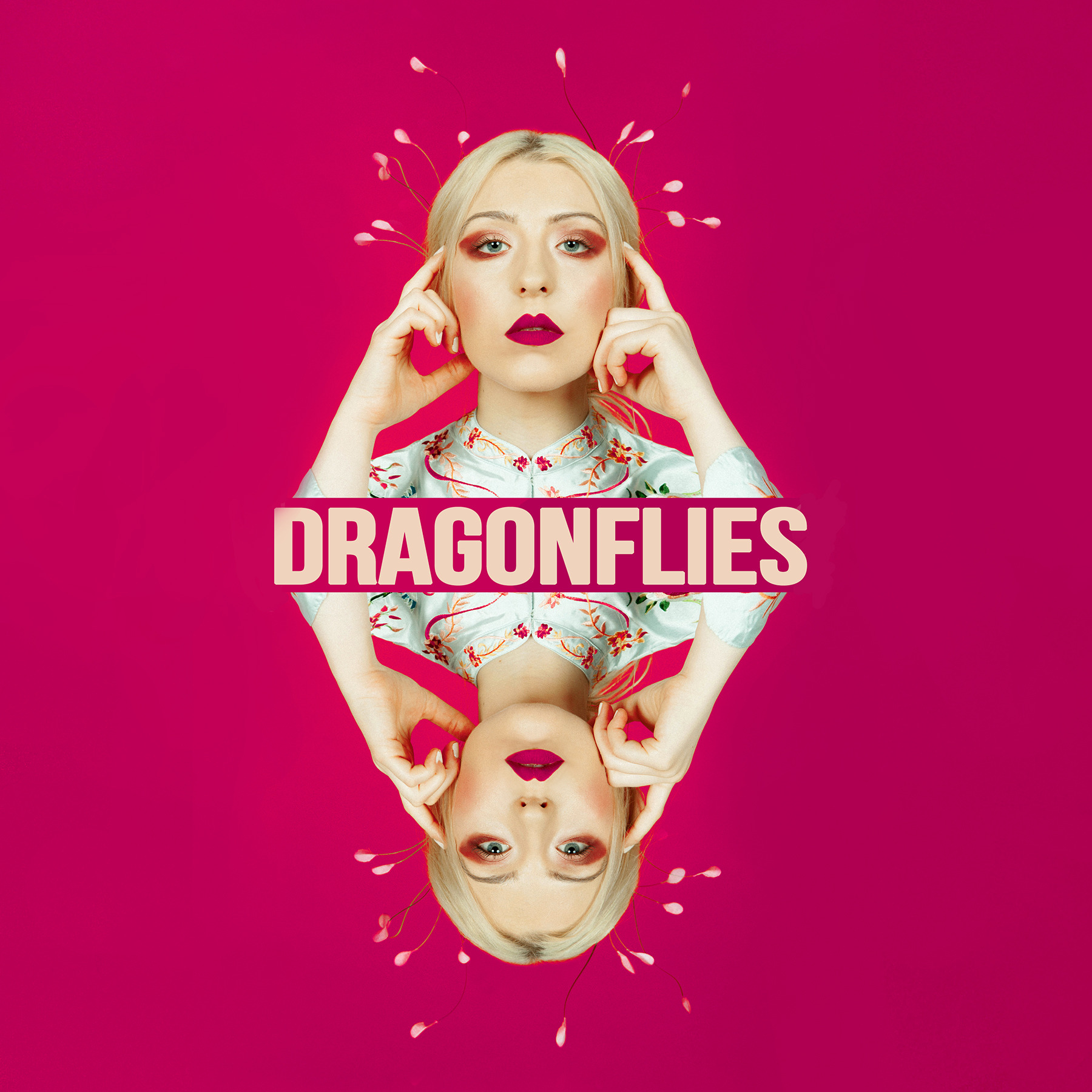 Dragonflies