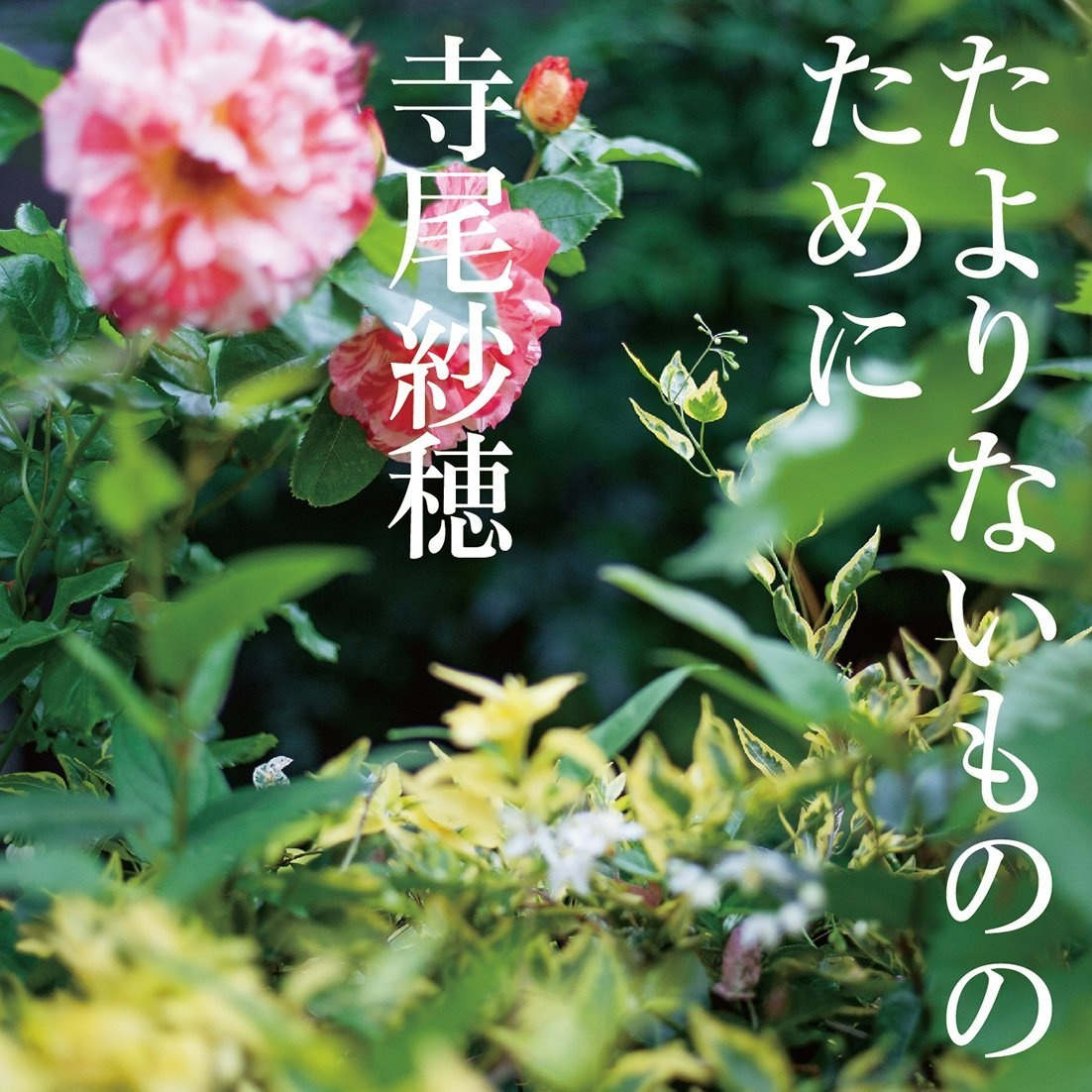 私の怪物