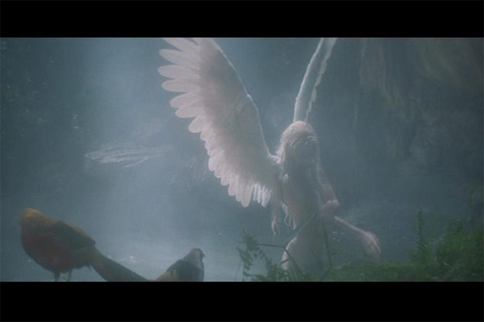 Angels