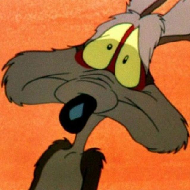 667