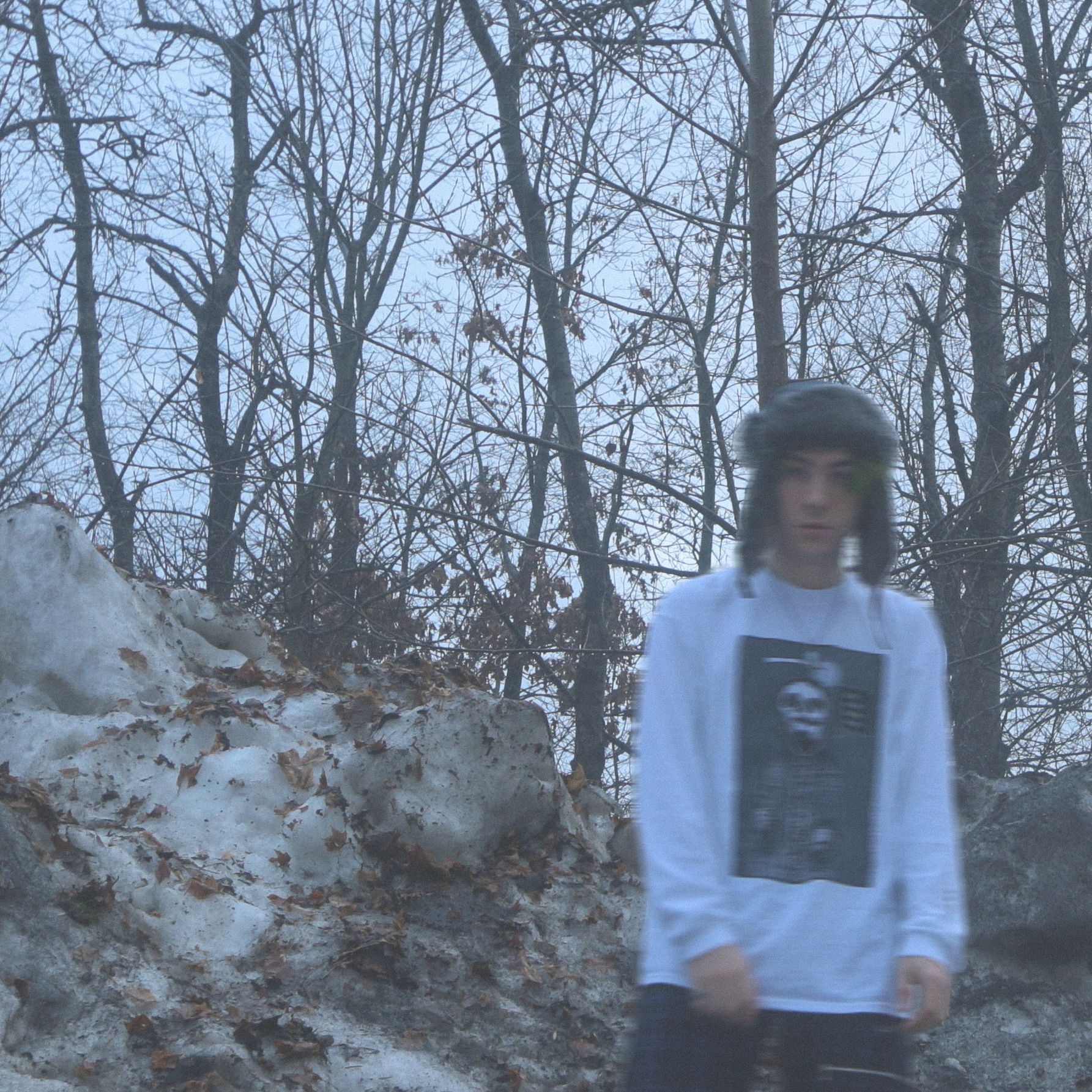 snowflakes 