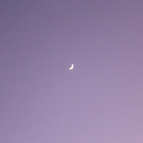 moonlight