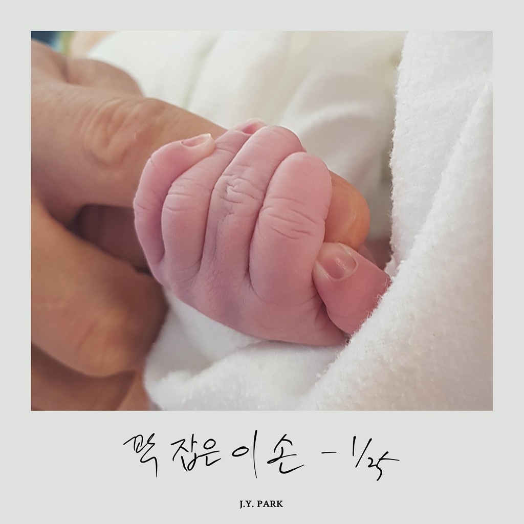 꽉 잡은 이 손