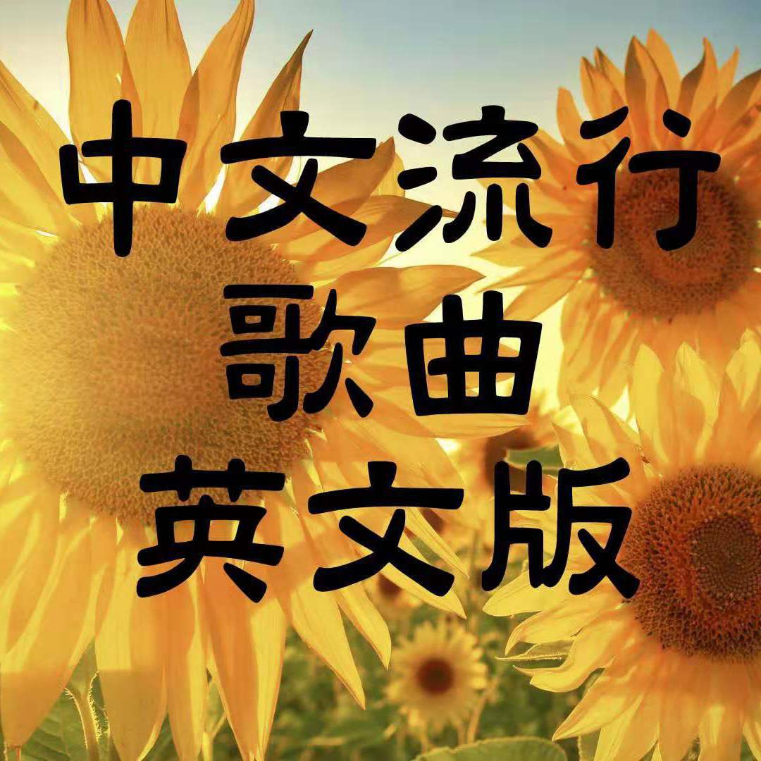 《咱们结婚吧》英文版