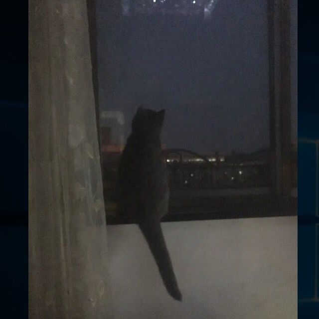 雾散了