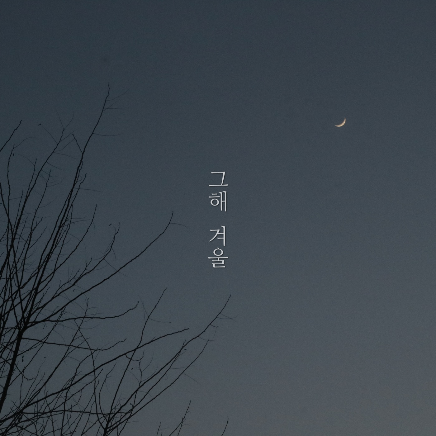 그해 겨울
