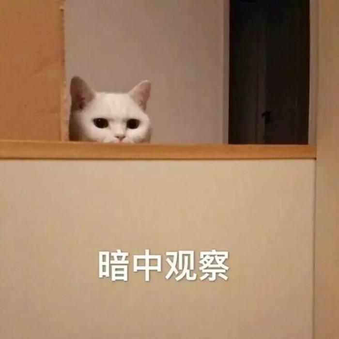 花束Acoustic.Ver