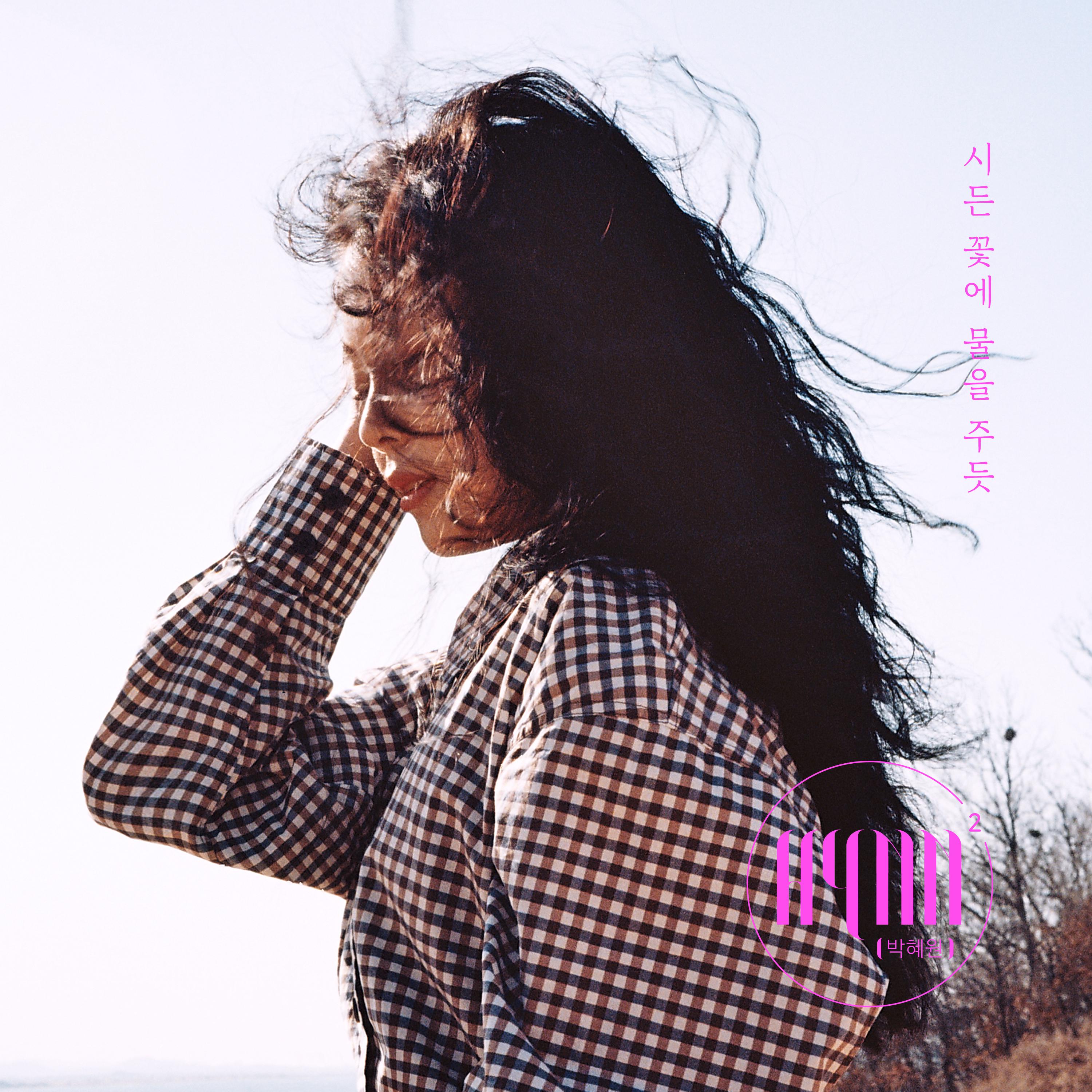 봄의 발라드