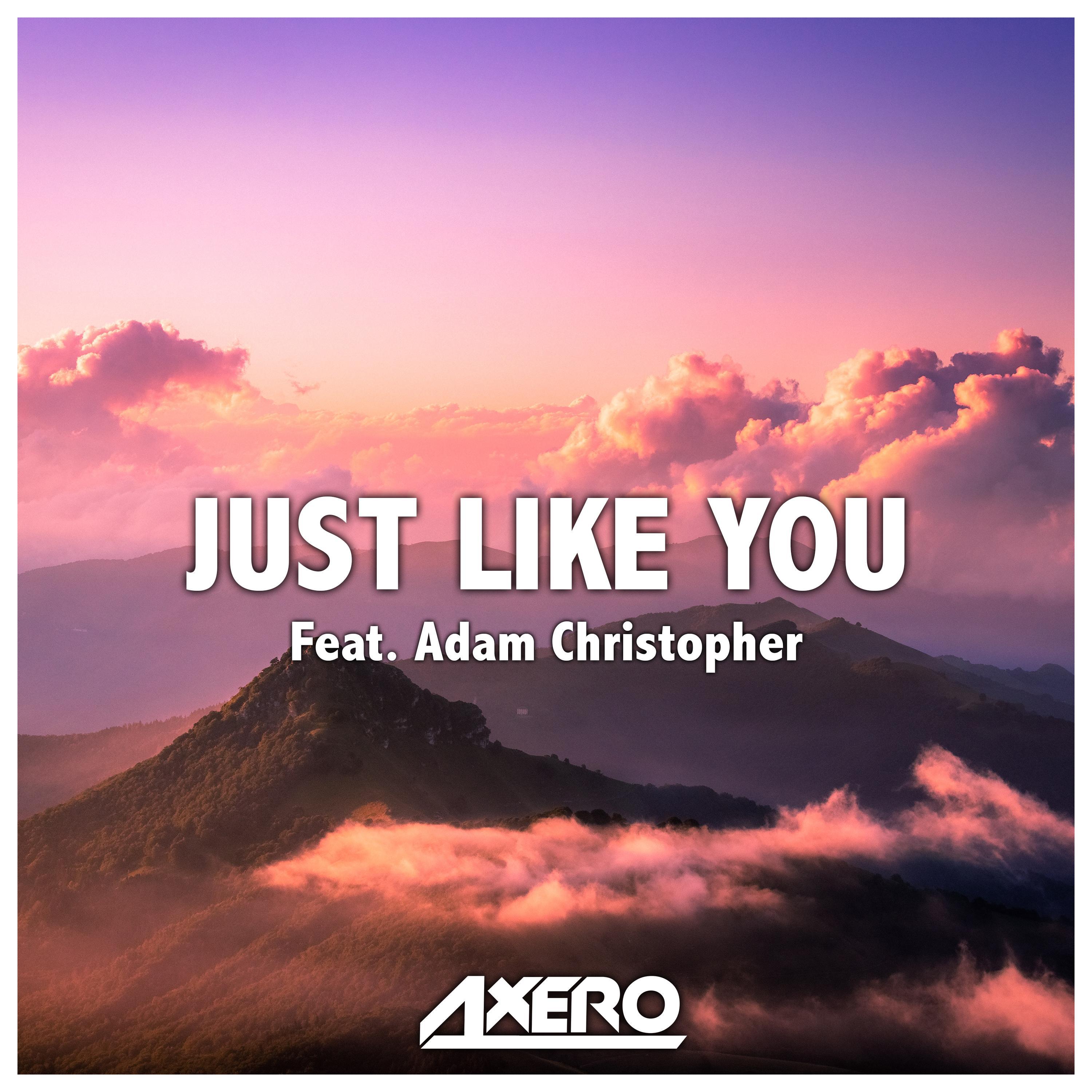 Just Like You
