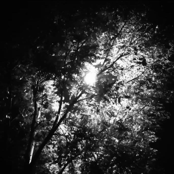 STARS