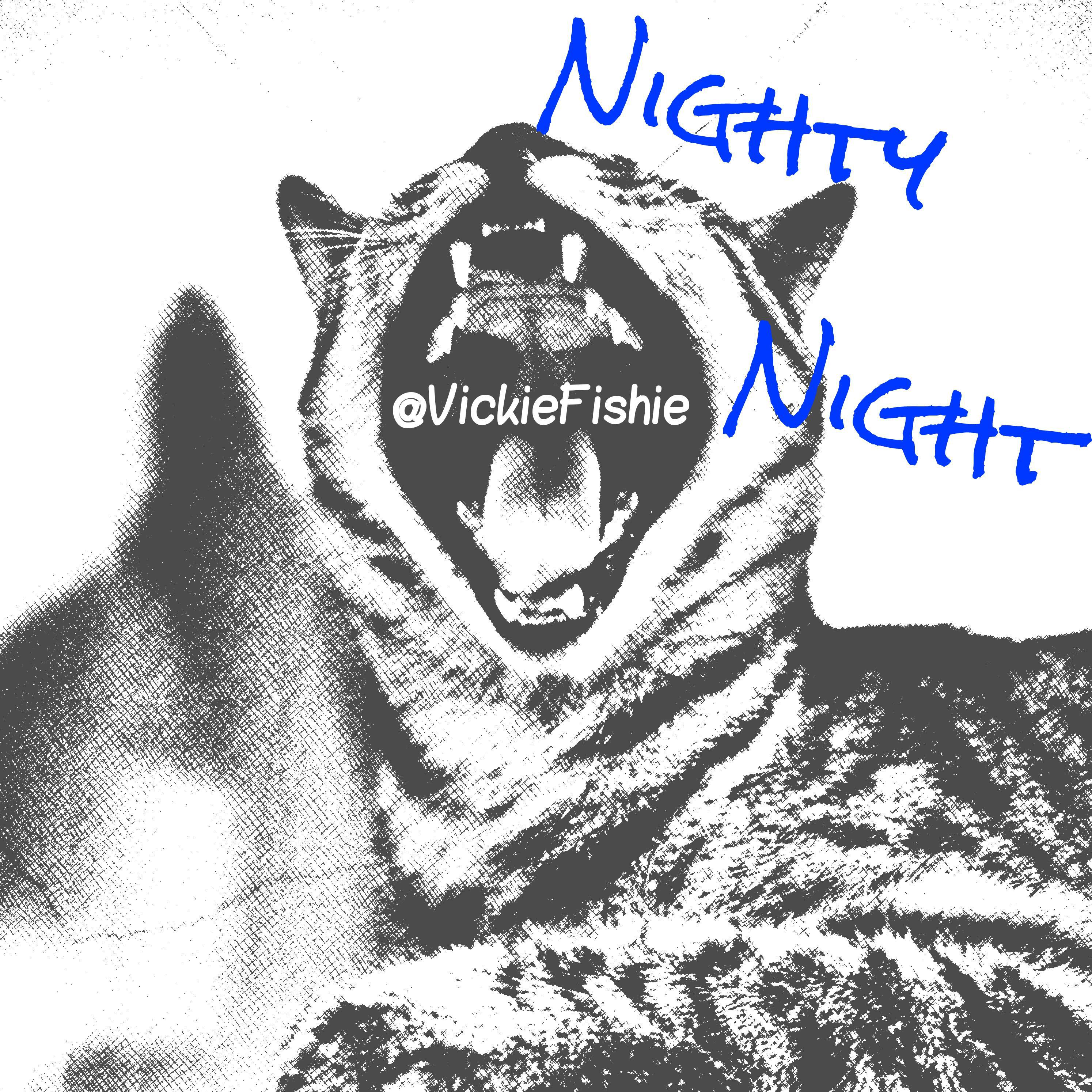 Nighty Night