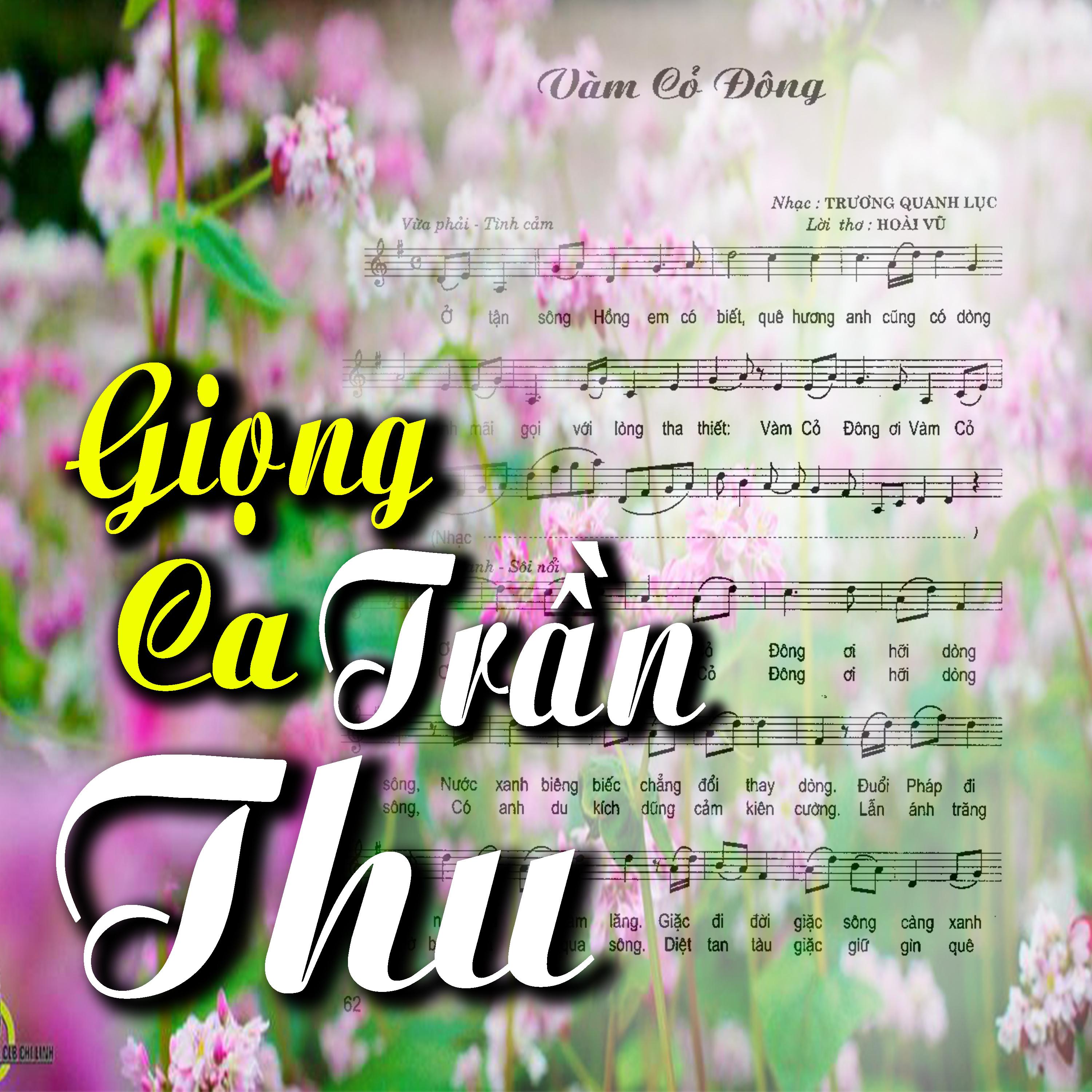 Mỗi Bước Ta Đi