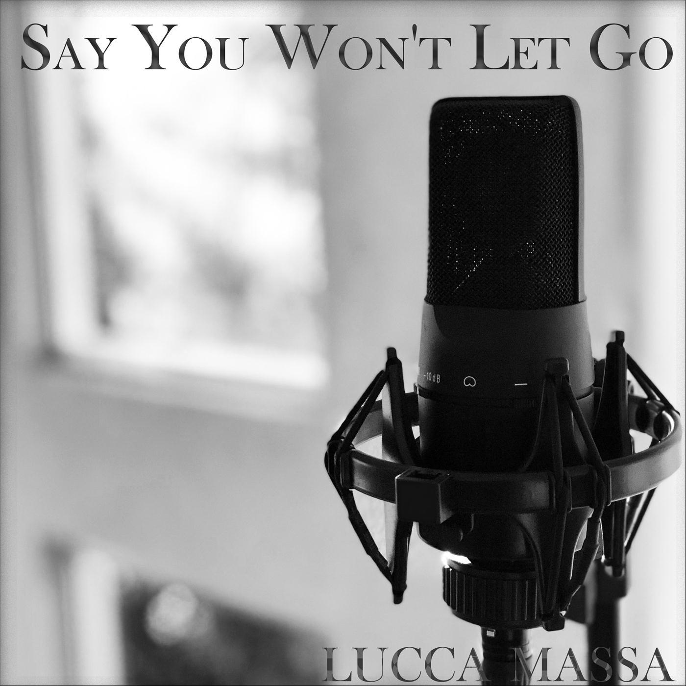 Say You Won't Let Go