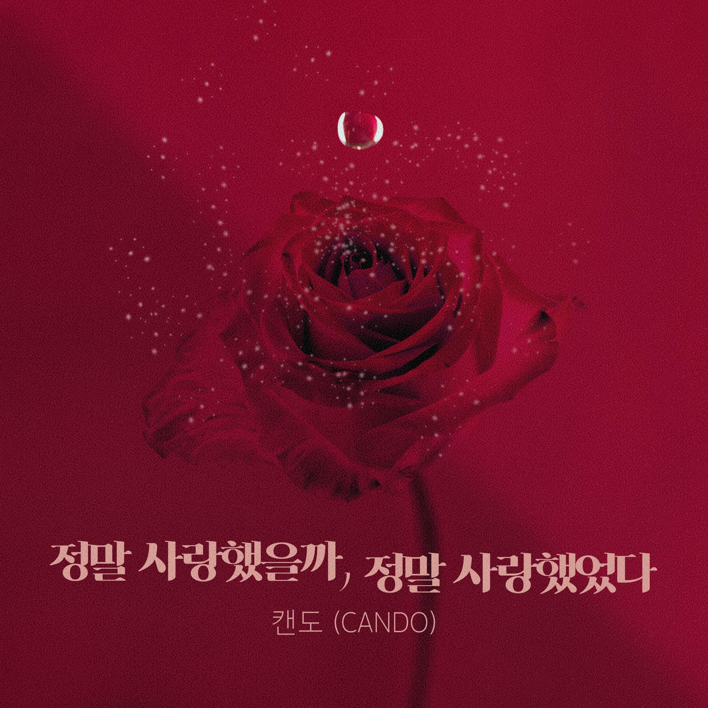정말 사랑했을까, 정말 사랑했었다
