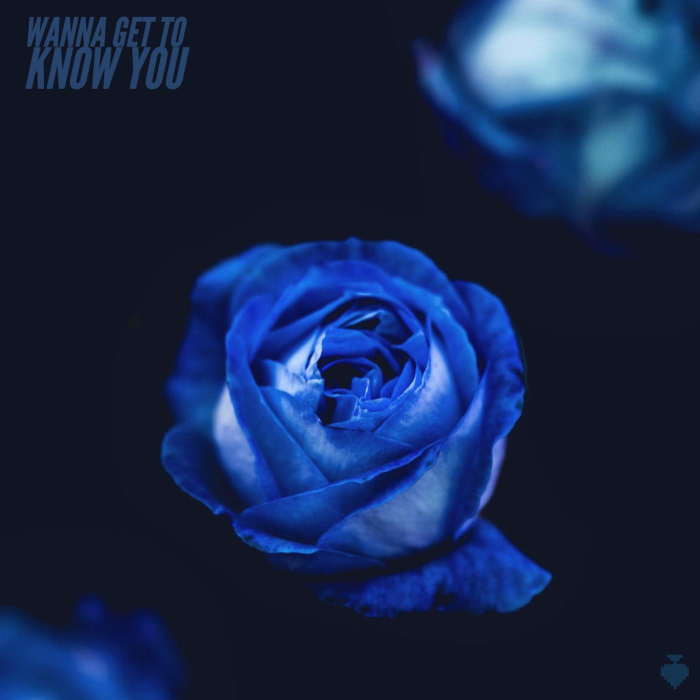 Wanna Get to Know You
