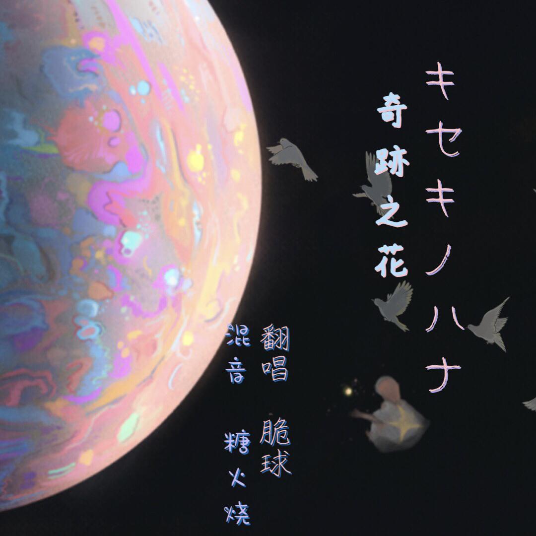 キセキノハナ