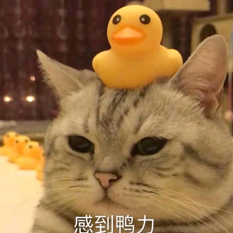 女の子になりたい