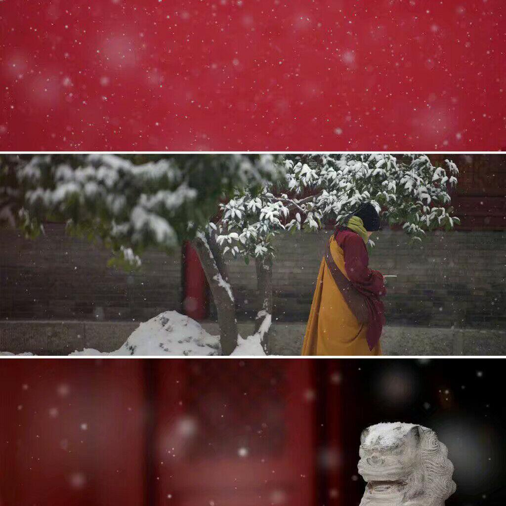 一尘不染