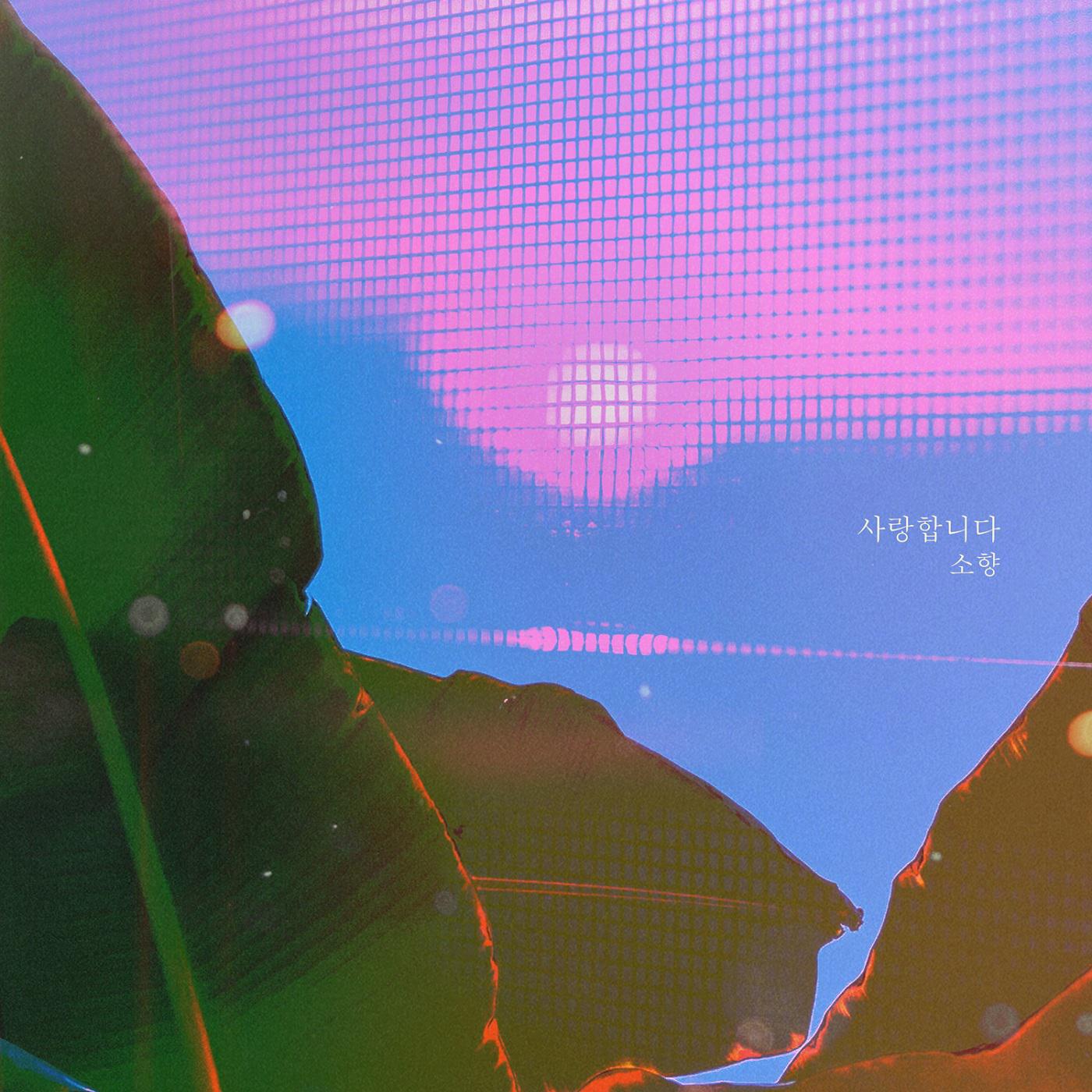 사랑합니다