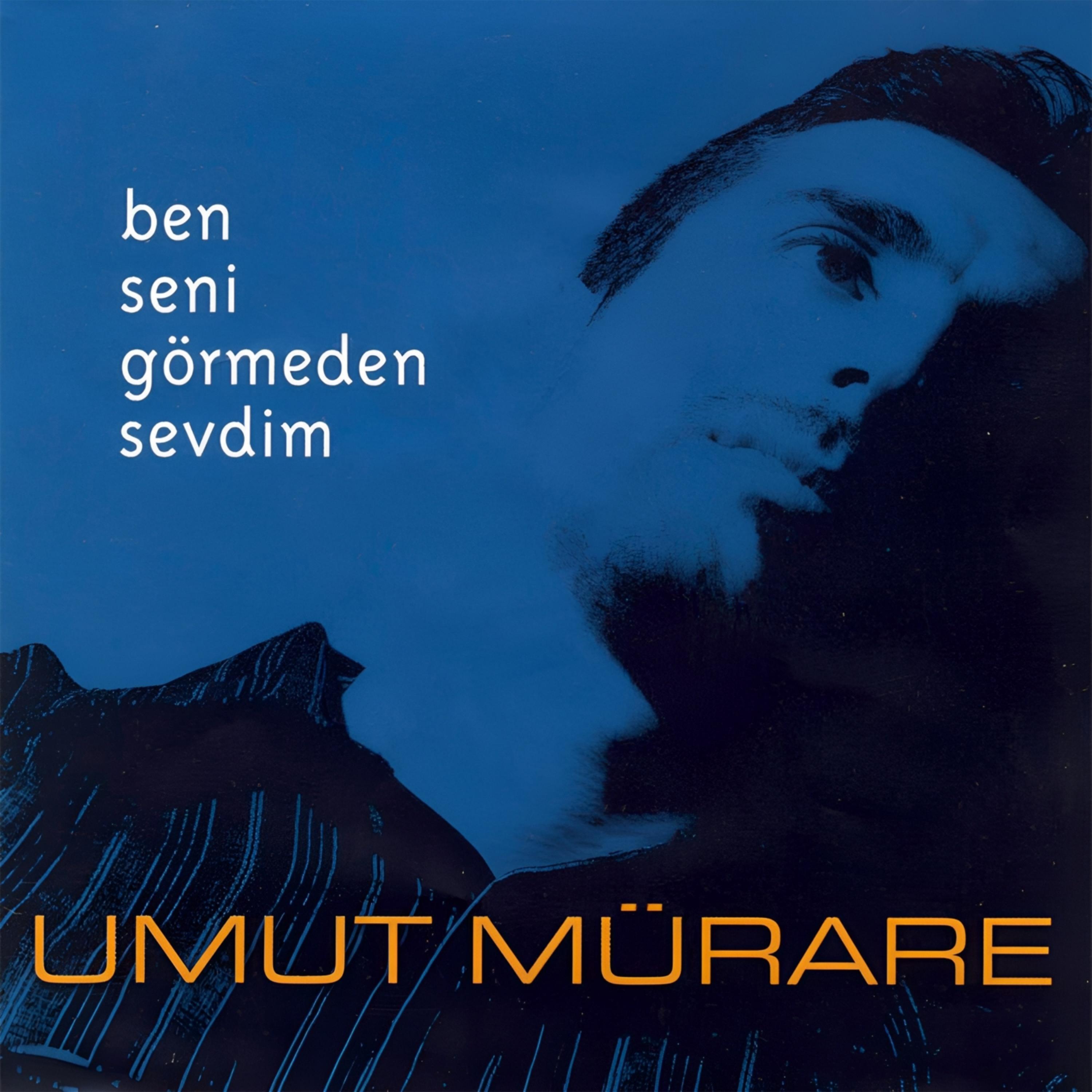 Ben Seni Görmeden Sevdim
