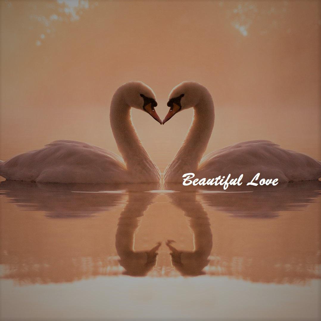 Beautiful Love