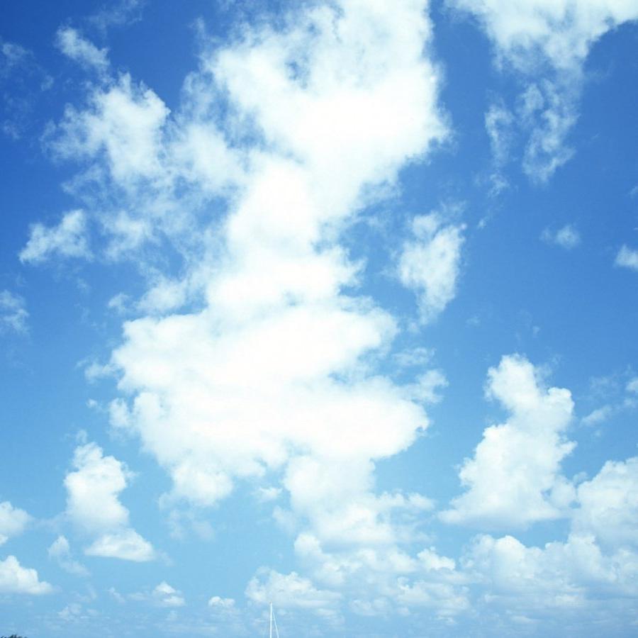 愛にできることはまだあるかい
