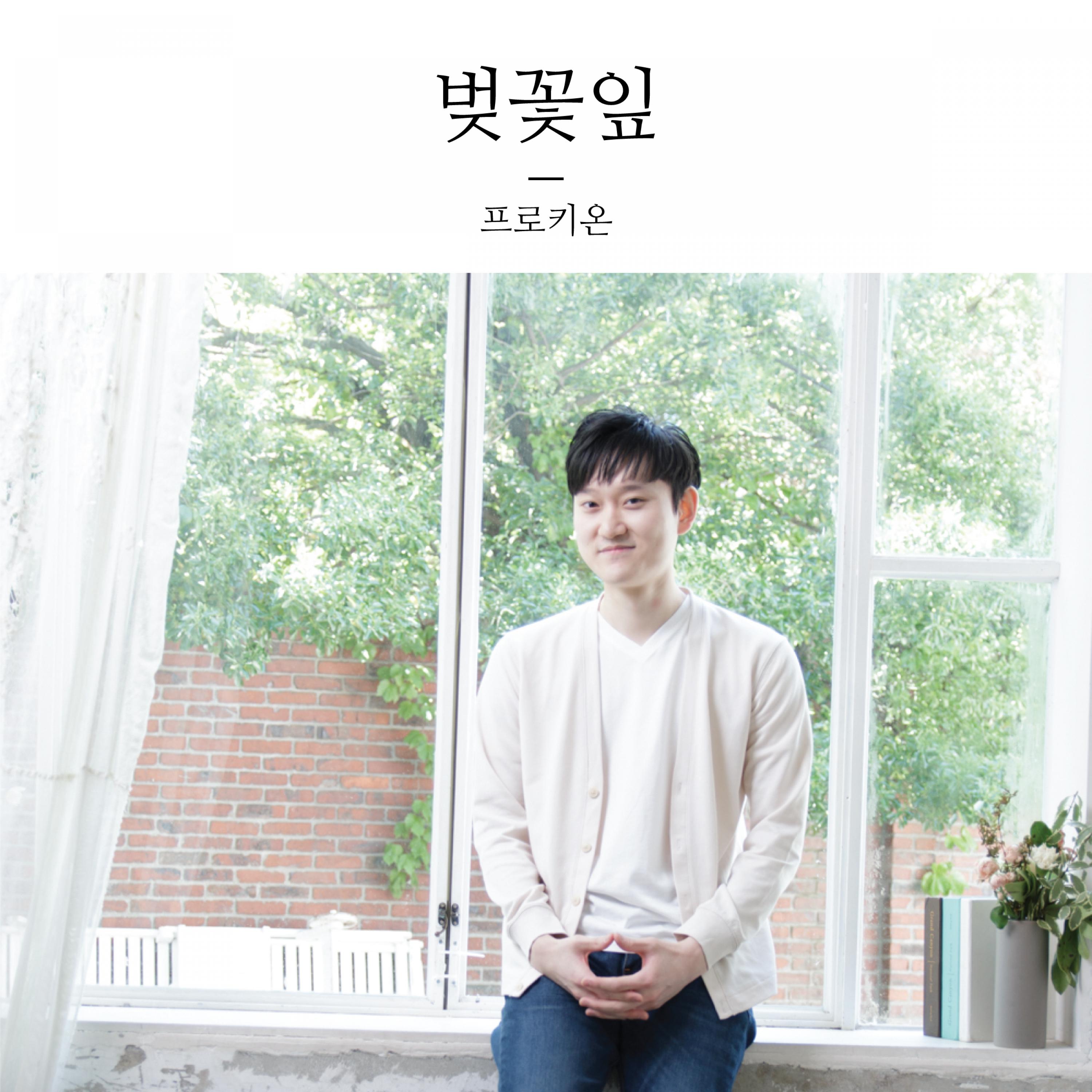 벚꽃잎