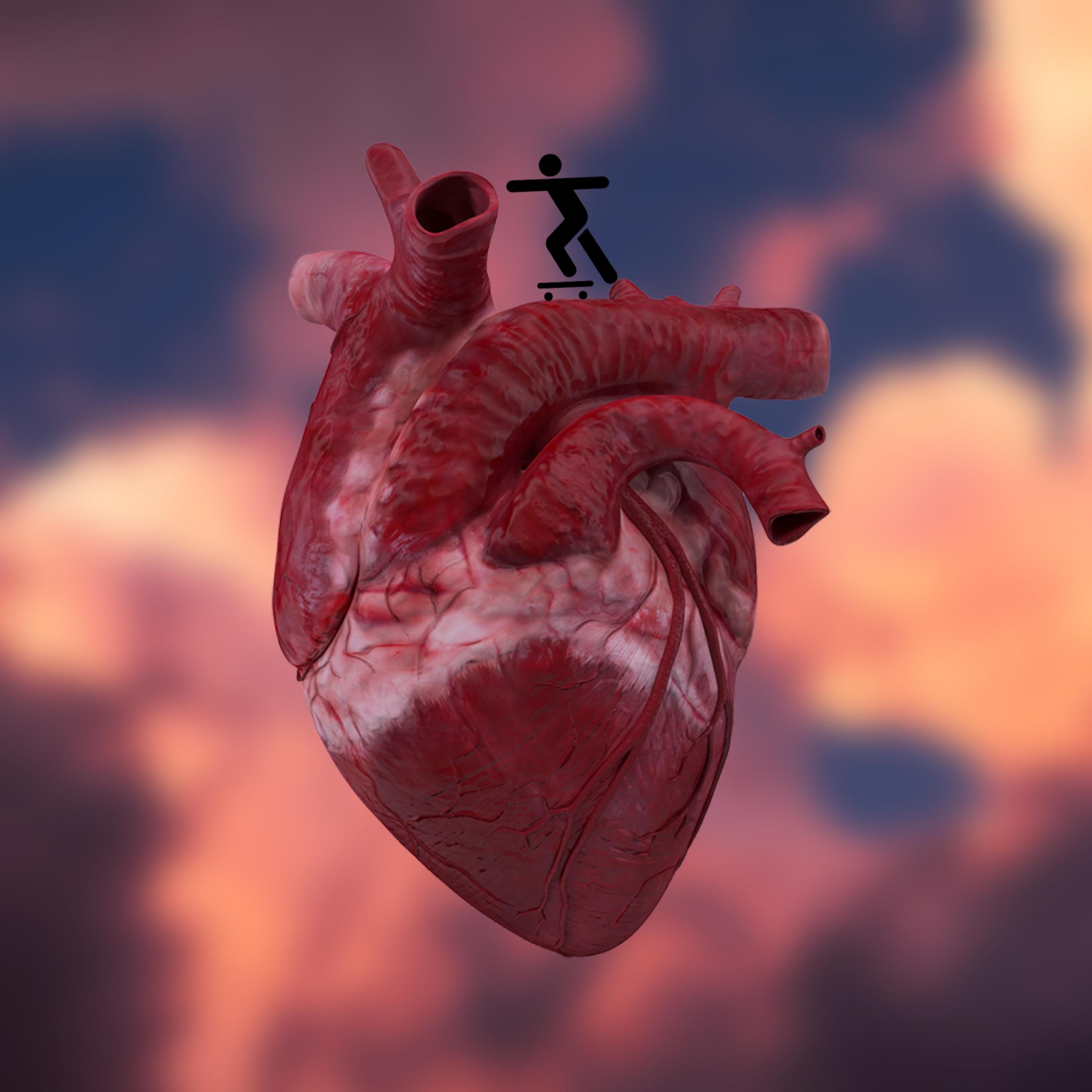 Ride Your Heart
