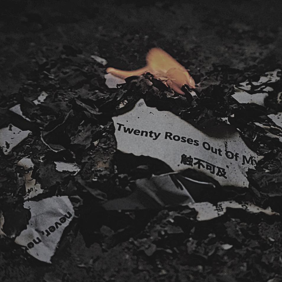 Twenty roses out of my wall