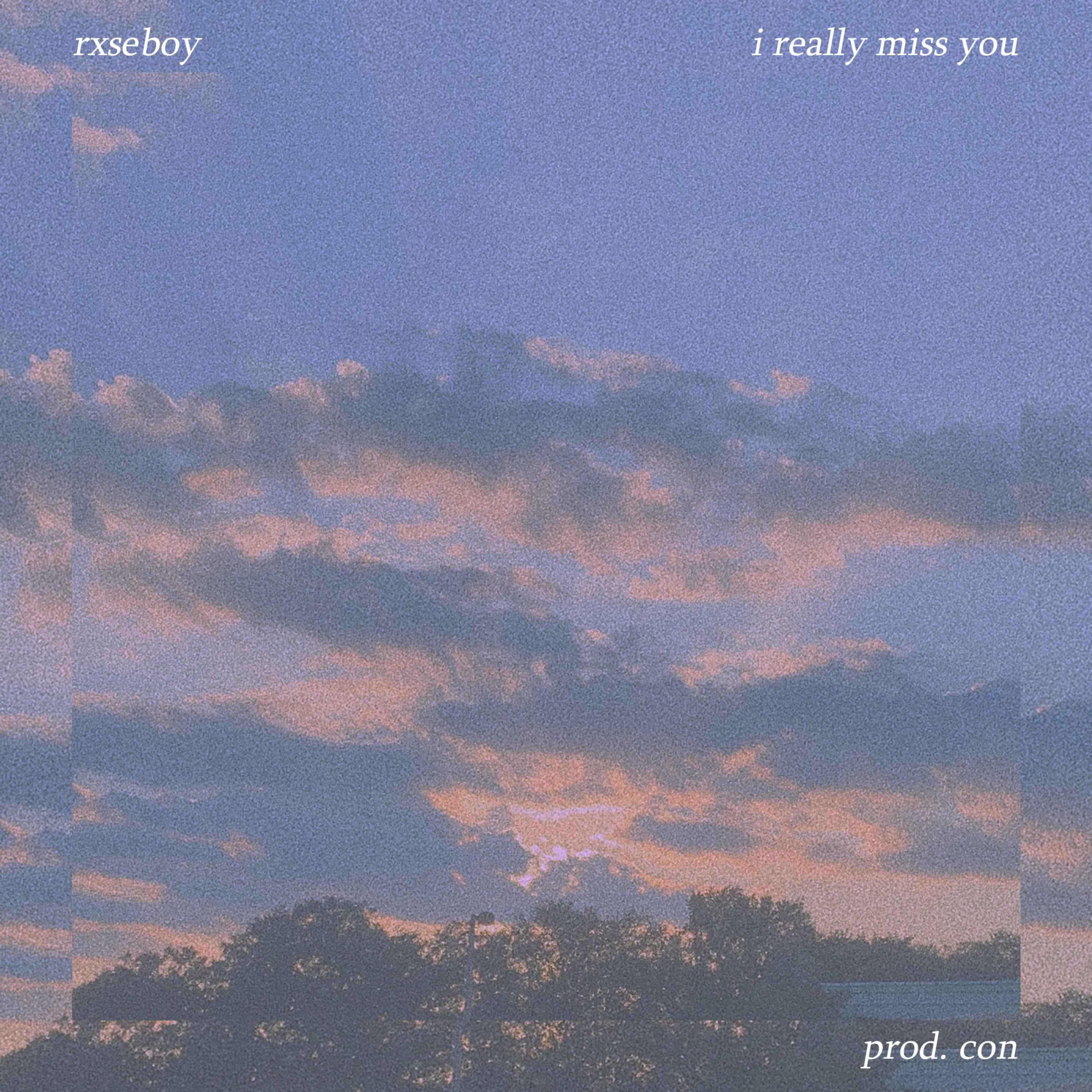i really miss you