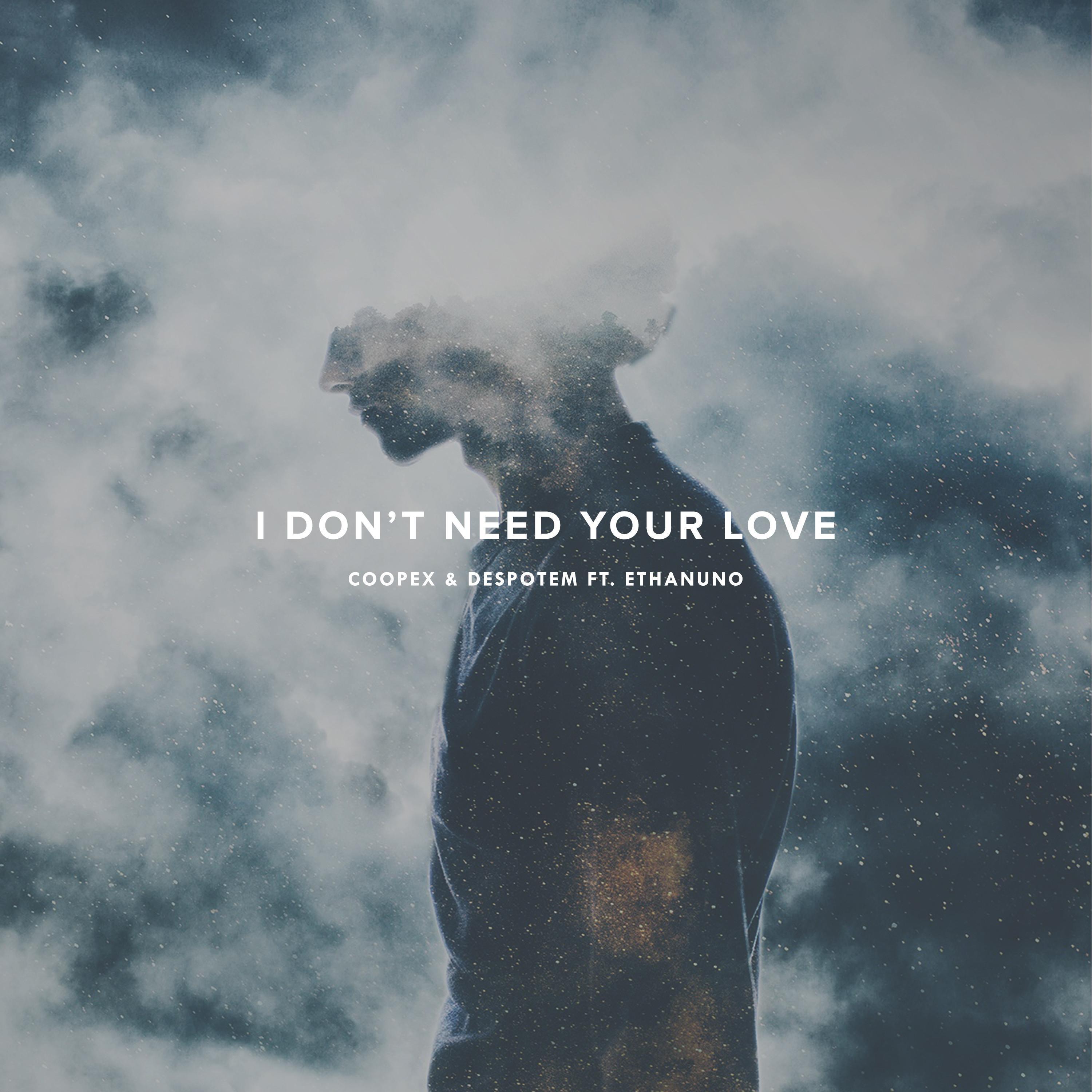 I Don't Need Your Love