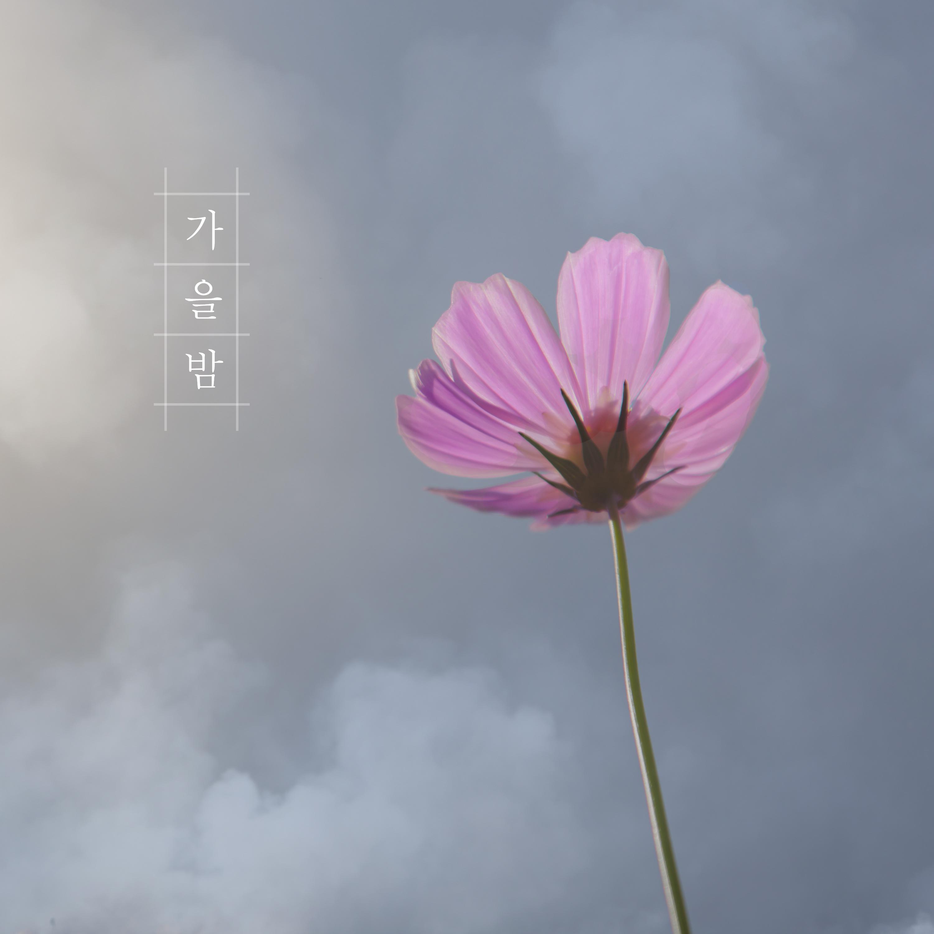 가을 햇살 속에서