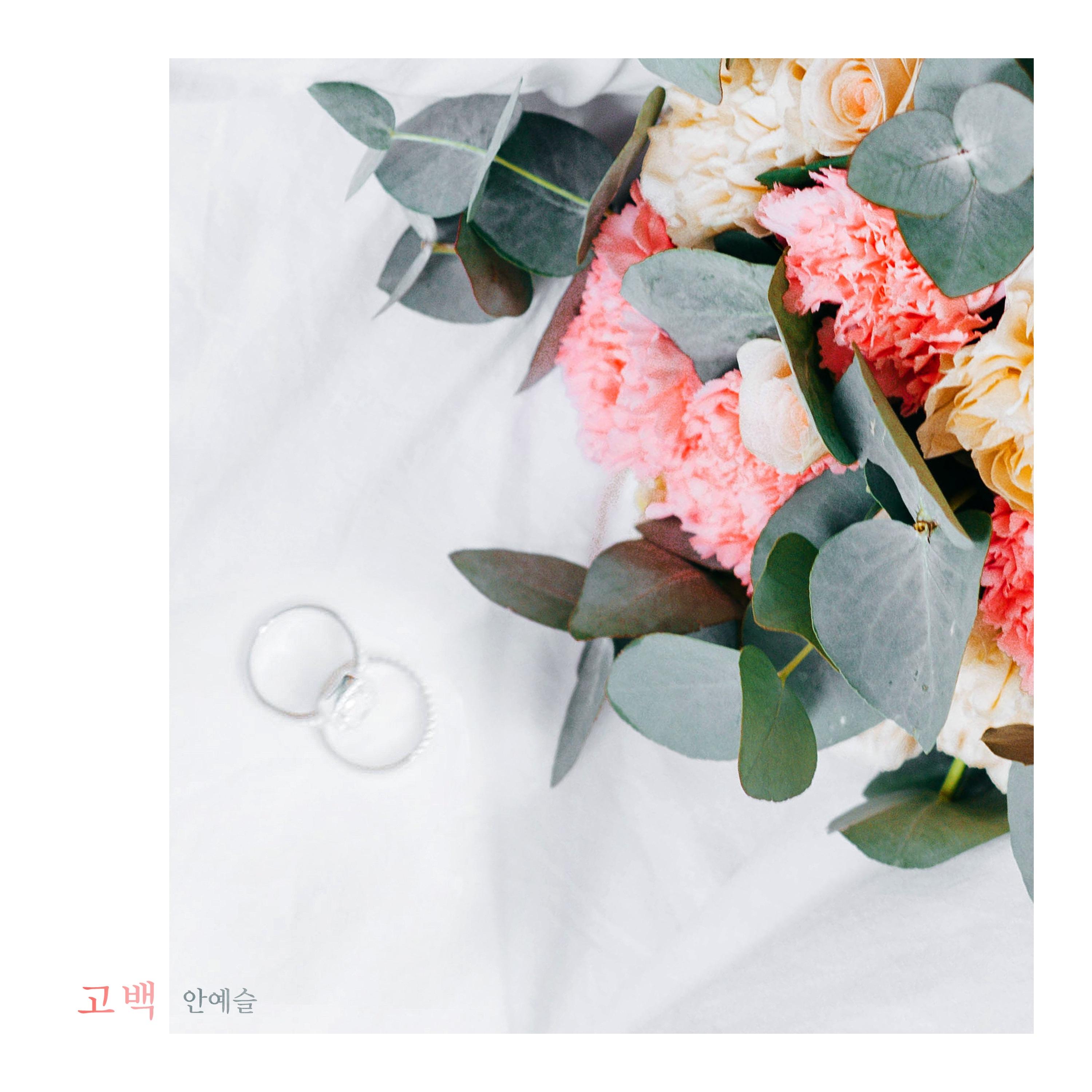 고백