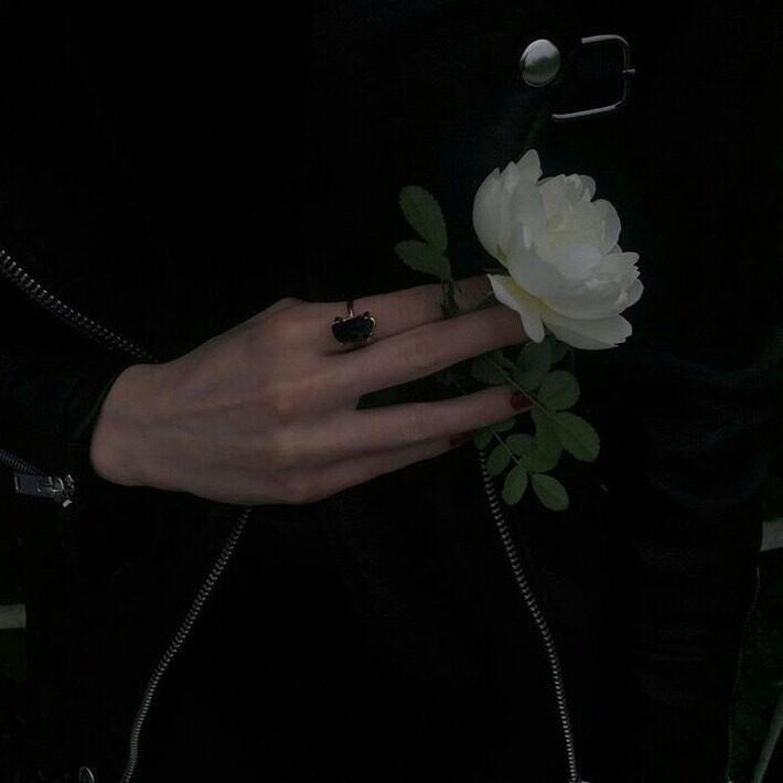 wish you were gay
