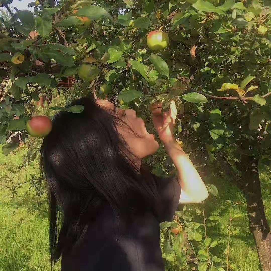 a tree