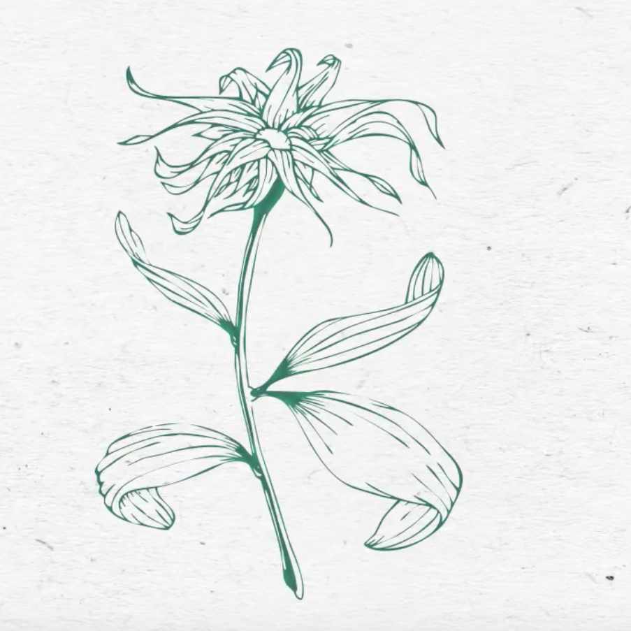 flos