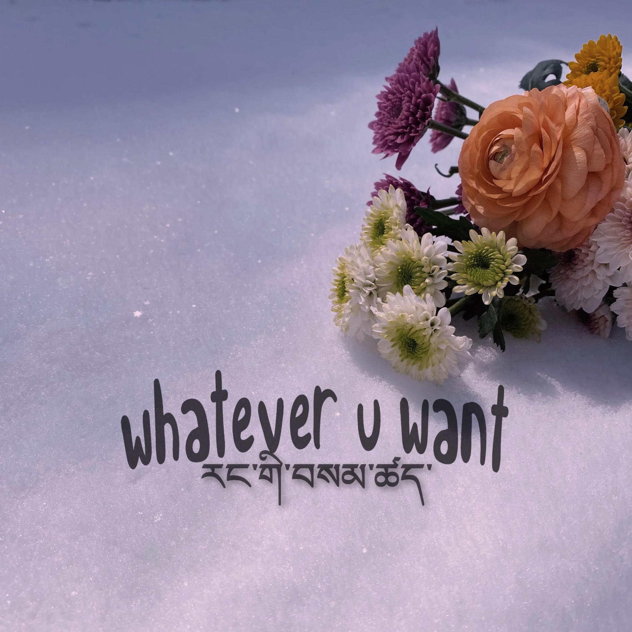 whatever U want