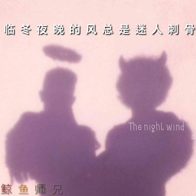 临冬夜晚的风总是迷人刺骨