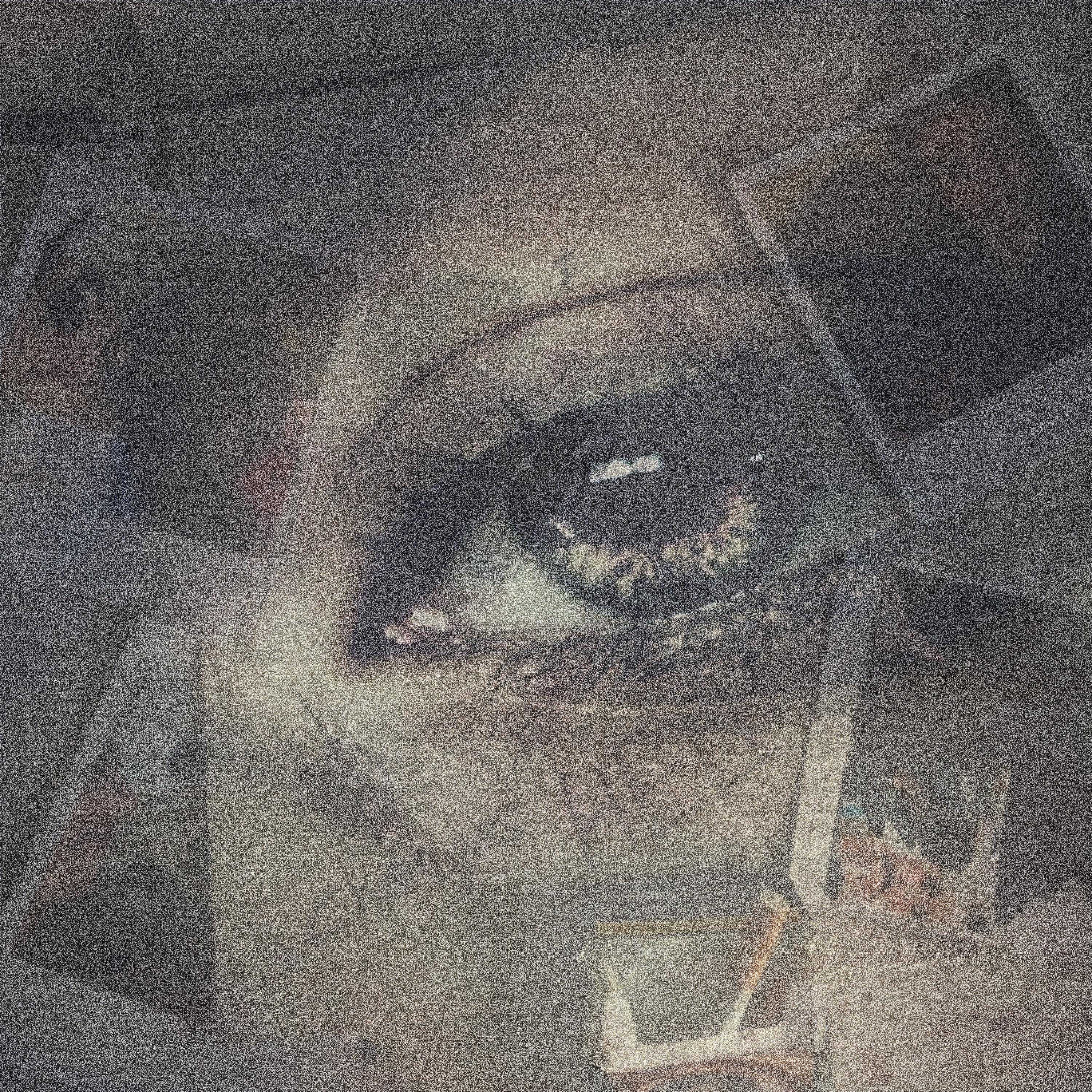 Why Can't I Feel Anything?