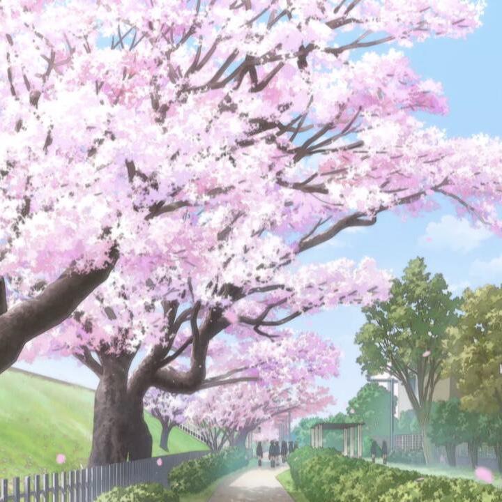 ヤング