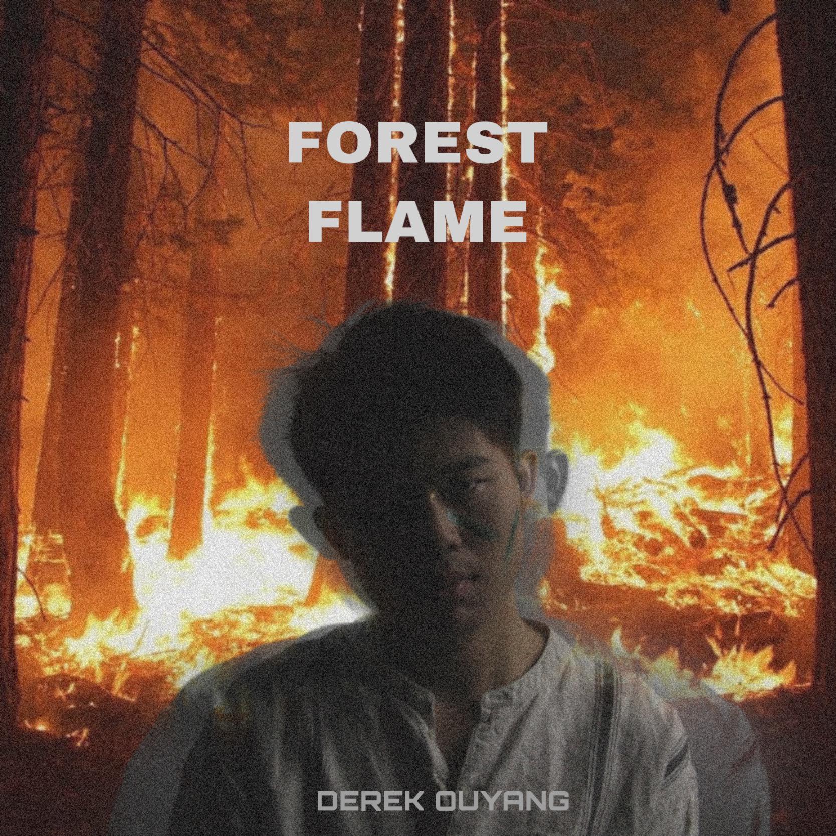 Forest Flame/ Outro