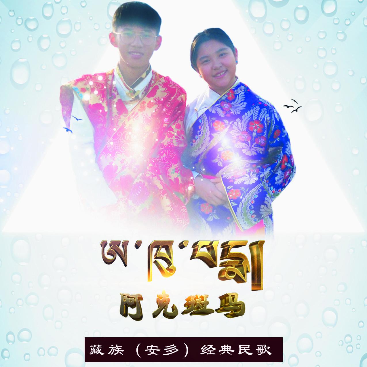 阿克斑马