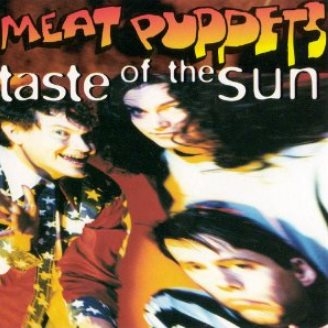 Taste Of The Sun (Album Version)