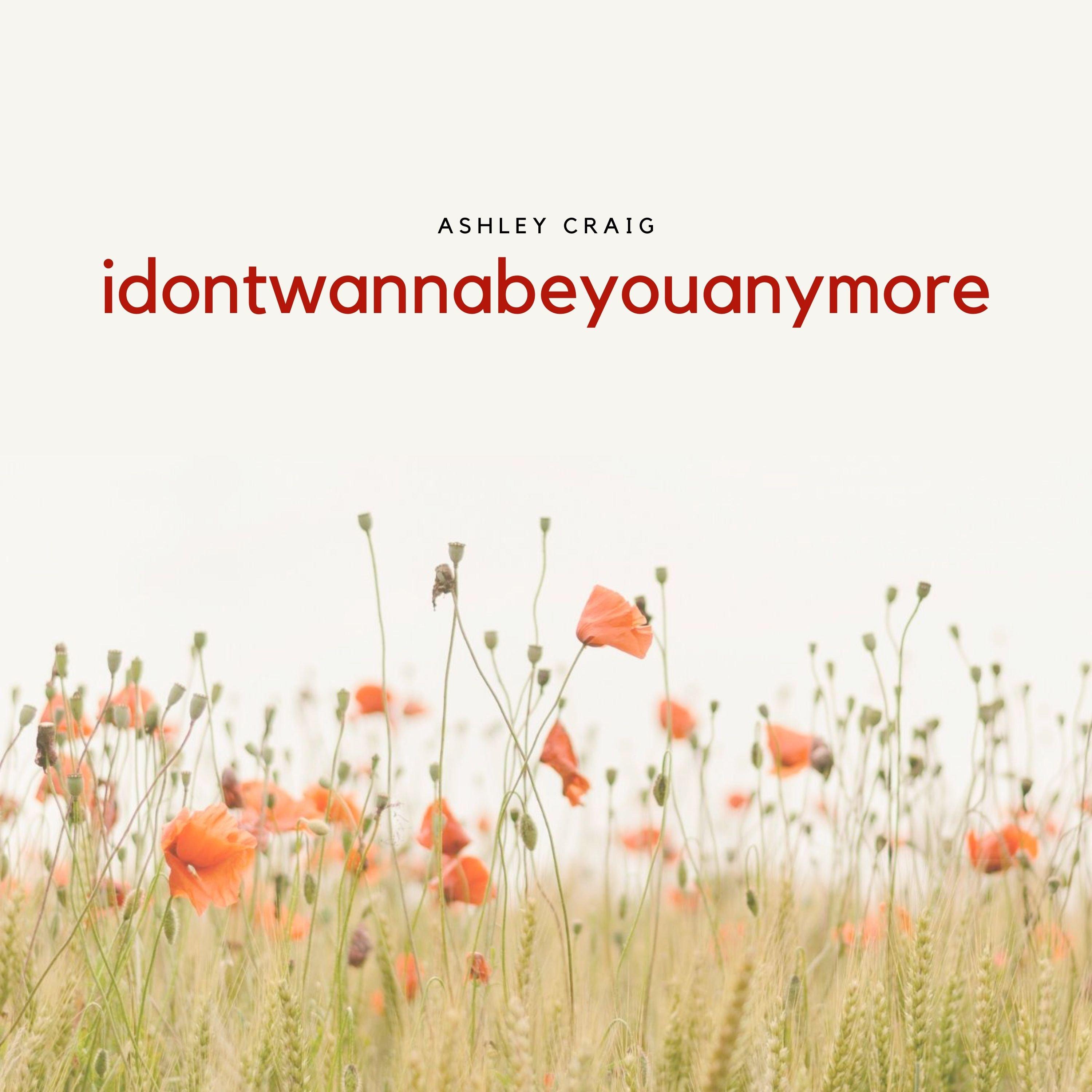 I Don't Want to Be You Anymore